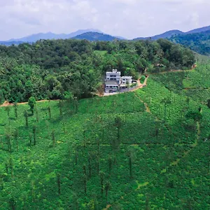 the-leaves-feel-more-nature.kerala-hotels.net/